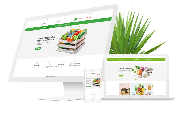 SEO para eCommerce en Chile